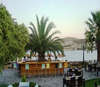 Costa Farilya Deluxe 